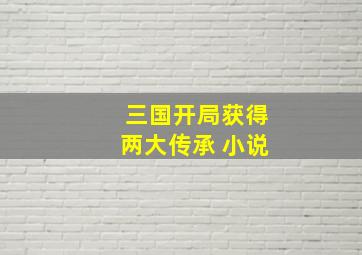 三国开局获得两大传承 小说